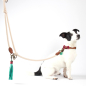 Preview: Dog with a Mission Hundeleine Sand